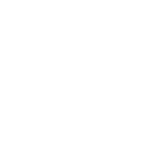 Slow vision